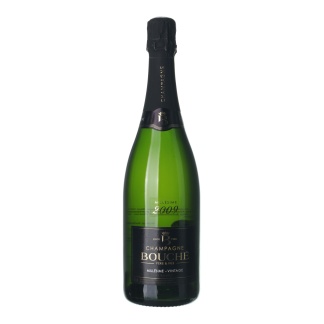 2009 Champagne Bouché Extra Brut Millesime Vintage (0,75l)