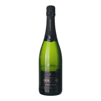2004 Champagne Bouché Extra Brut Millesime Vintage (0,75l)