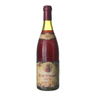 1976 Clos de Vougeot Grand Cru Rion Pere et Fils (0,75l)