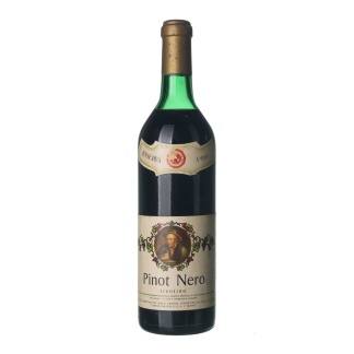 1966 Pinot Noir/ Rulandské modré Riserva Cantine Palazzo (0,75l)